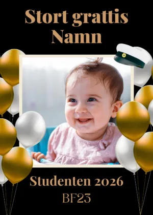 Studentplakat MELVIN